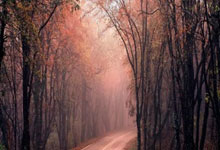 欧博：还差三球，莱万：达成巴萨百球里程碑是我的目标和梦想.