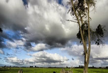 欧博：越南足球国家队抵新备战 巴西归化球员来势汹汹.