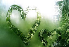 欧博：樊振东、王曼昱、徐梦桃等，拟获国家级表彰3-31 06：19.