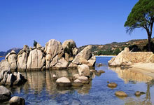 欧博：杜兰特缺席！ESPN预测明日太阳胜率51%，雄鹿胜率则为49%.